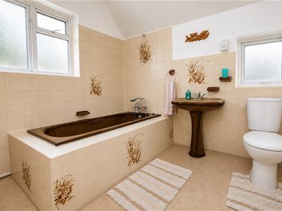 Picture 17